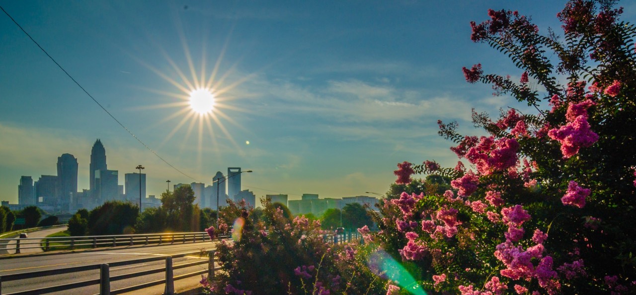 Charlotte Skyline