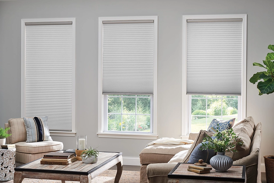 White cellular shades on living room windows